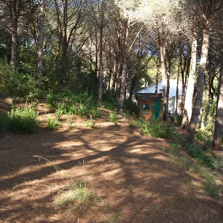 La Marina *